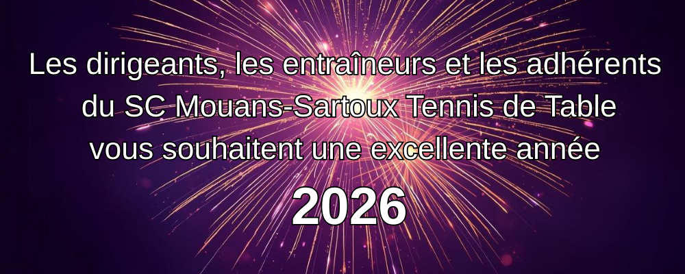 Bonne Ann�e 2026